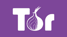 Tor logo