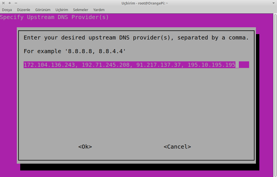 OpenNIC Pi Hole